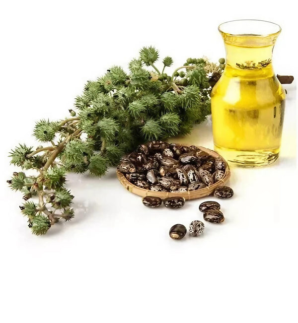 Organic Castor Oil